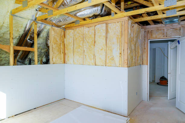Best Residential Insulation in Vermillion, SD